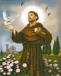 st francis.jpg